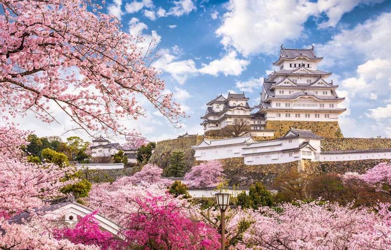 Festività giapponesi, dai ciliegi in fiore al culto delle anime