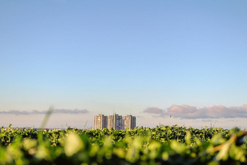 Green divide: quando tra ricchi e poveri c’è di mezzo il parco sotto casa 