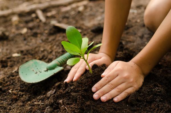 ABNE: Edugreen: laboratori di sostenibilità  per una scuola più ecologica