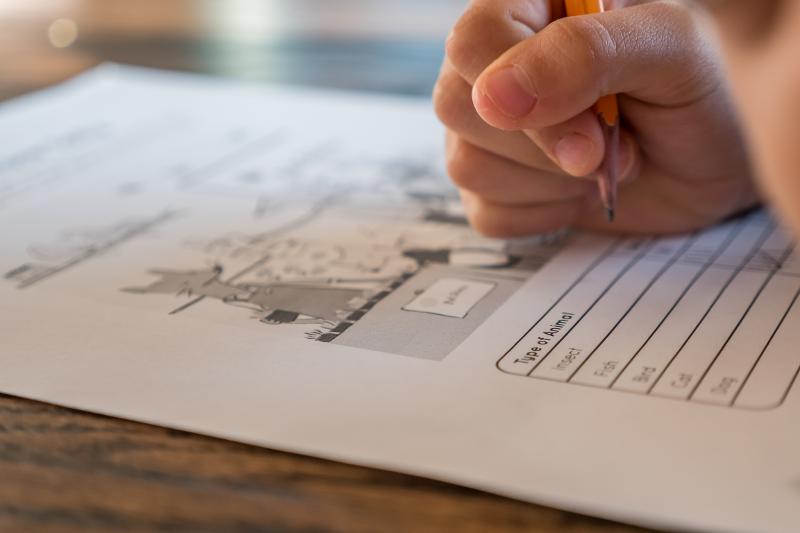 Scuola senza voti, l'esito positivo al Liceo Carducci di Milano 