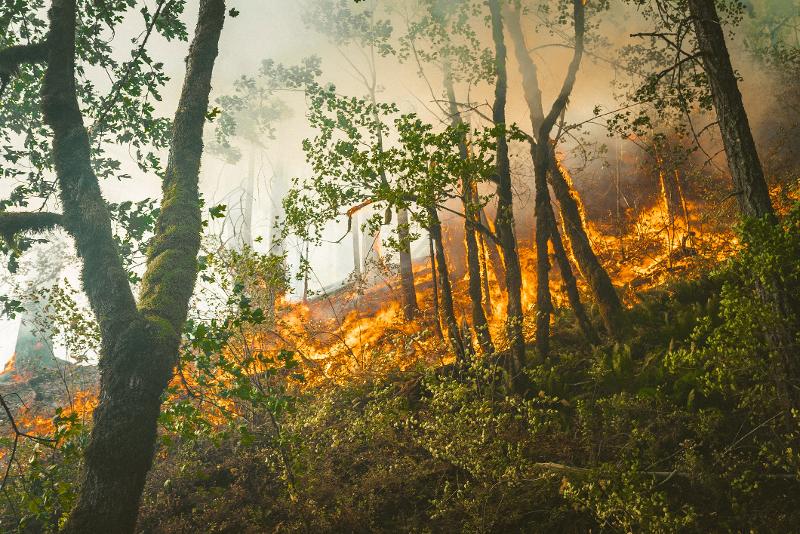 Canada in fiamme, città evacuate