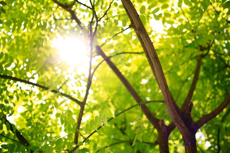 6 consigli per imparare a rispettare l'ambiente 