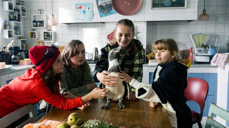 Il programma per le scuole del Sotto18+ Film Festival 2025