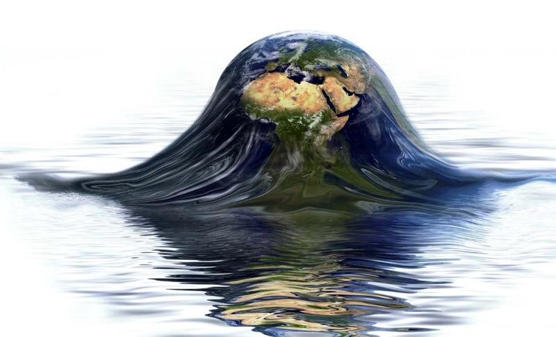 Il grido dell’oceano