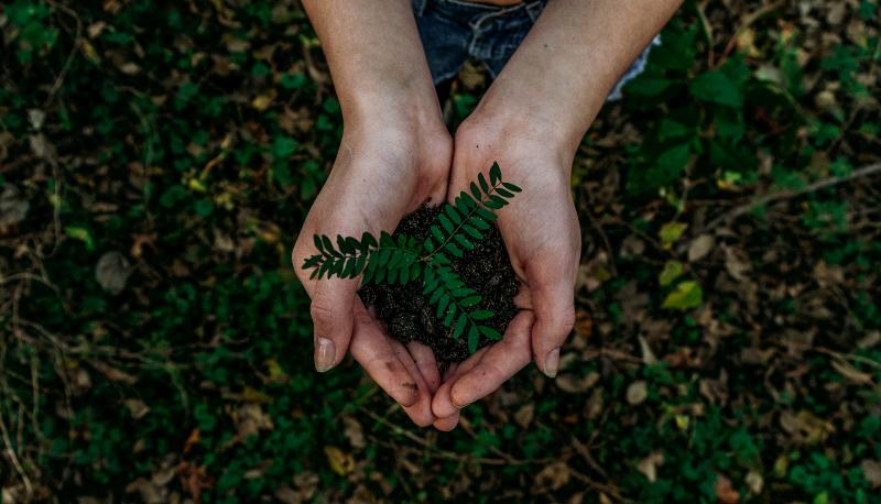 Basta poco per essere Bio: 6 accortezze da usare ogni giorno