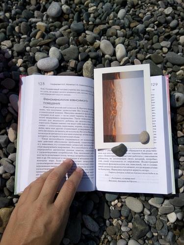 Libri, 5 consigli per l'estate