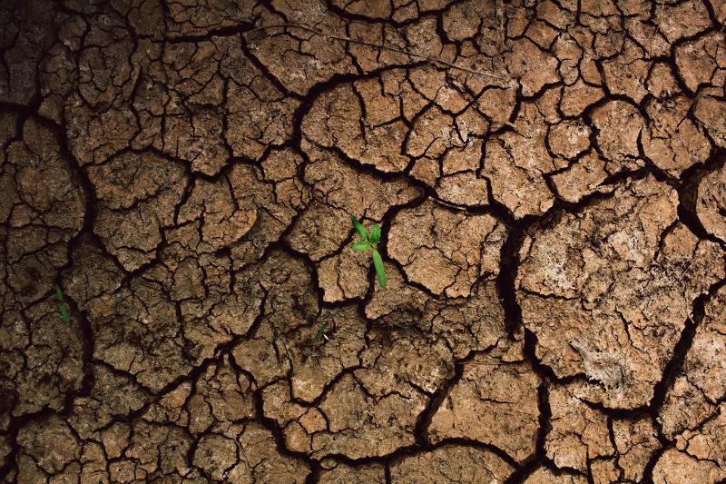 Caldo: la parola dell’estate
