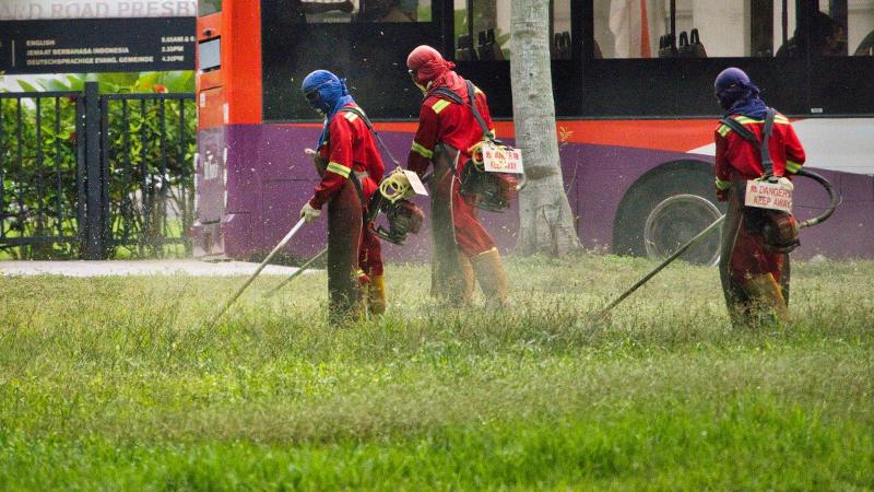 Pesticidi, un viaggio nel tempo dai Sumeri ad oggi