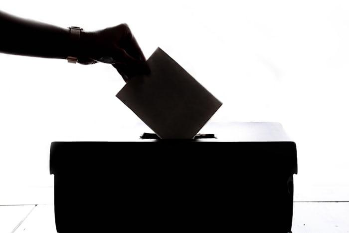 Elezioni europee 2024: per chi hanno votato i giovani