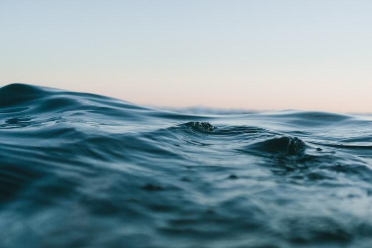 Microplastiche, ecco come stiamo uccidendo il mare