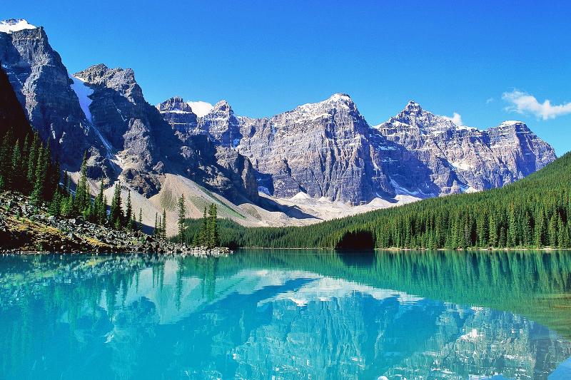 Intercultura - Viola dal Canada