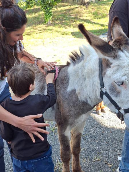 Interventi Assistiti con gli Animali: arrivano gli asinelli al Polo Inclusivo di Aracne 