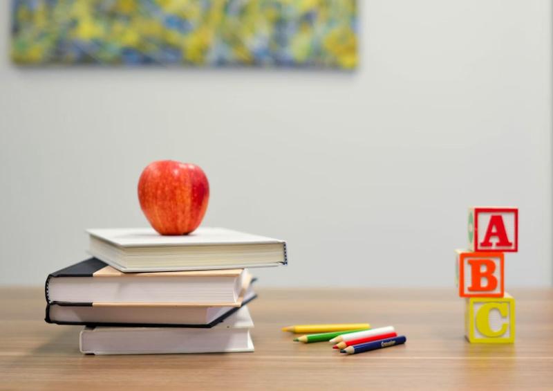 La leadership organizzativa dei dirigenti scolastici secondo Domenica Cirasuolo