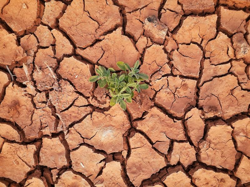 Cop28, al via la Conferenza Onu sul clima