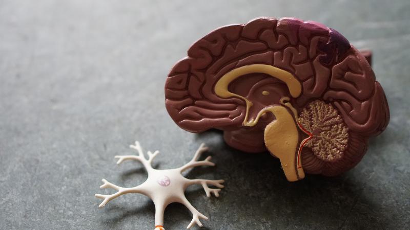 Inquinamento atmosferico e Alzheimer 