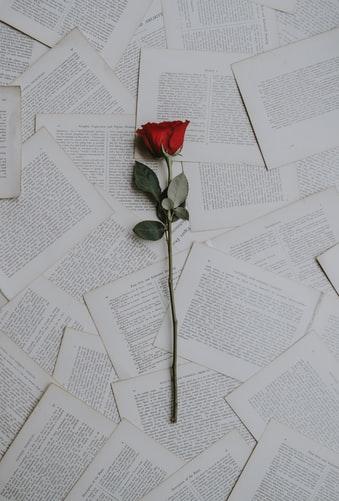 Amor cortese e amore oggi. Perché non esiste più il sentimento dei grandi poeti