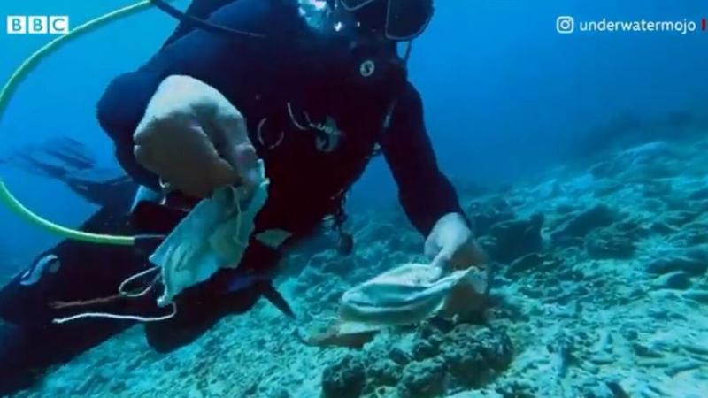 Le mascherine invadono la barriera corallina